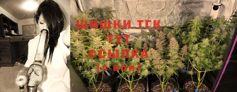 где продают   Вязники  Шишки марихуана OG Kush 